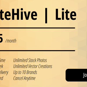 Lite Subscription Plan